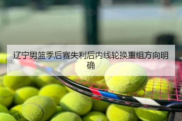 辽宁男篮季后赛失利后内线轮换重组方向明确
