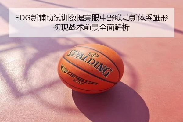 EDG新辅助试训数据亮眼中野联动新体系雏形初现战术前景全面解析